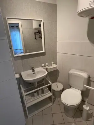 a bathroom with a toilet and a sink and a mirror at Appartement lumineux dans un quartier animé in Brussels
