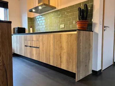 a kitchen with a counter with a plant on it at Maison Seigneur in Asse