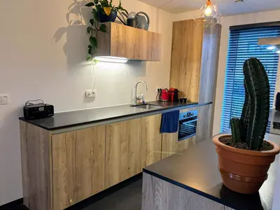 a kitchen with a counter and a cactus in a pot at Maison Seigneur in Asse