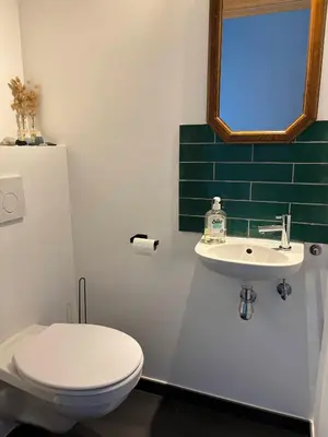 a bathroom with a white toilet and a sink at Maison Seigneur in Asse