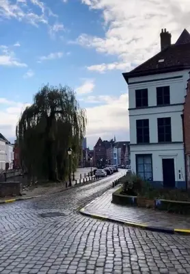 a cobblestone street with a white house and a tree at CES Home in Ghent