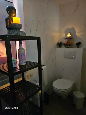 a bathroom with a toilet and a shelf with a bottle of soap at Love Zen Room Atomium et Palais de l'exposition in Brussels