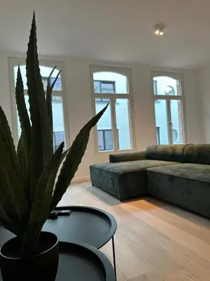 a living room with a couch and a potted plant at Märch - Mechelen Goat 6 in Mechelen