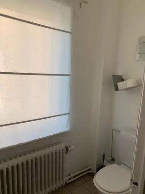 a bathroom with a white toilet and a radiator at Une belle étage à Stockel with charming patio in Brussels