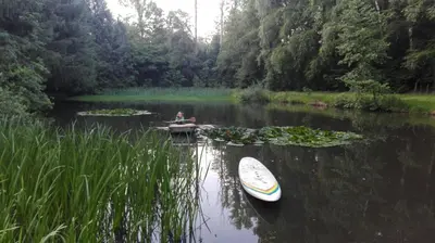 a person sitting on a dock in a lake with a boat at De Vijver in Geel