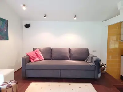 a couch in a living room with a pink pillow at De Vijver in Geel