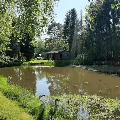 De Vijver