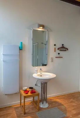a bathroom with a sink and a mirror at De Wijngaard in Ghent