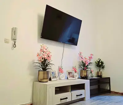 a tv hanging on a wall with potted plants at Modern & Comfortable City Center Oasis~King Bed ! in Brussels