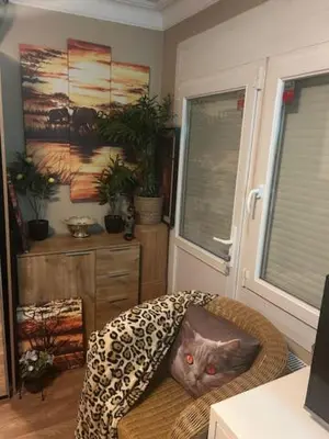 a cat pillow sitting on a chair in a room at Jungle Magic Room near Atomium , Heyzel Stadium in Strombeek-Bever