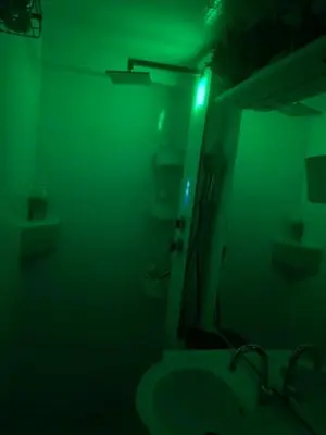 a green bathroom with a sink and a mirror at Jungle Magic Room near Atomium , Heyzel Stadium in Strombeek-Bever