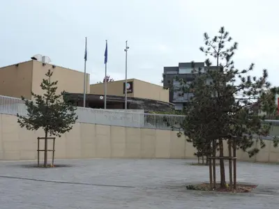 two trees in front of a wall with buildings at Hostel Blauwput Leuven in Leuven