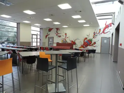 a dining room with tables and chairs and graffiti on the wall at Hostel Blauwput Leuven in Leuven