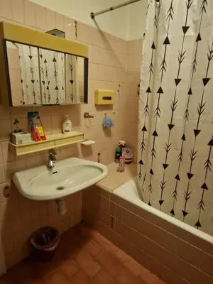 a bathroom with a sink and a shower curtain at Central home in Brussels