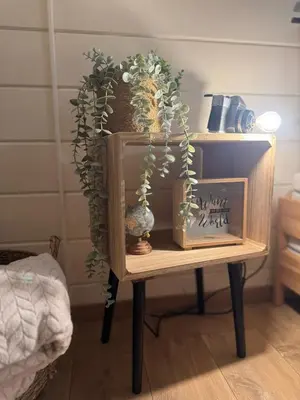 a table with a shelf with plants on it at Chalet Chalazy in Lille