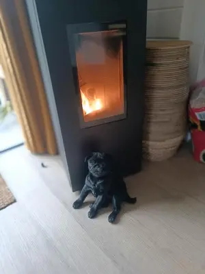 a black dog sitting on the floor in front of a fireplace at Chalet Chalazy in Lille