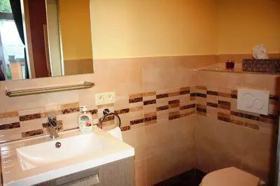 a bathroom with a sink and a toilet at EU B&B in Brussels