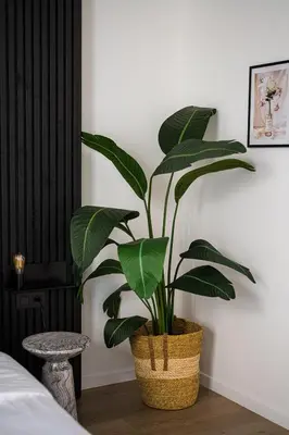 a plant in a basket in a bedroom at Modern apartment in the old city center in Antwerp