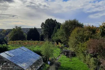 a greenhouse in the middle of a field with trees at Ateljee Sohie in Hoeilaart