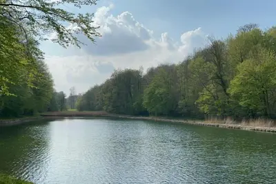 a river with trees on the side of it at Ateljee Sohie in Hoeilaart