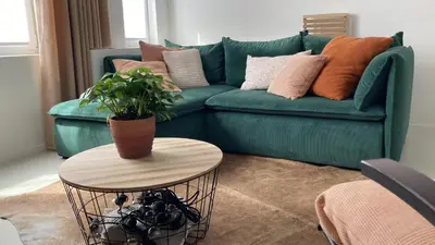 a green couch with pillows and a plant on a table at Charmante stadswoning aan Groen Kwartier in Antwerp