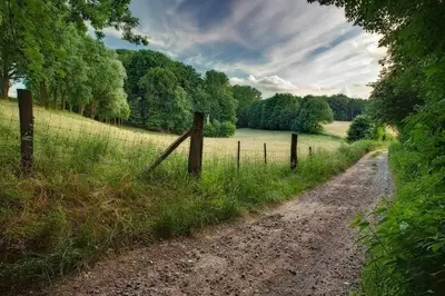 a dirt road in a field with a fence at Meerbeek Unwind in Kortenberg