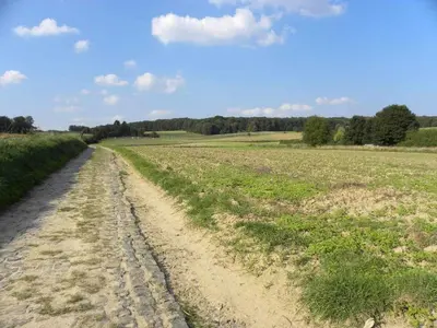 a dirt road in the middle of a field at Meerbeek Unwind in Kortenberg