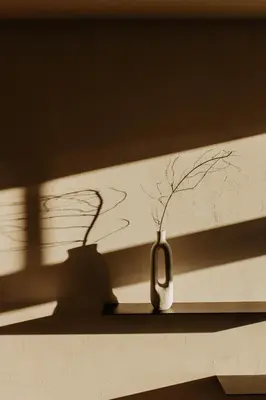 a shadow of a vase with a plant in it at Stil 1827 in Sint-Laureins