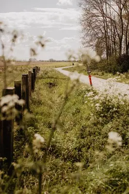 a field with a fence and a dirt road at Stil 1827 in Sint-Laureins