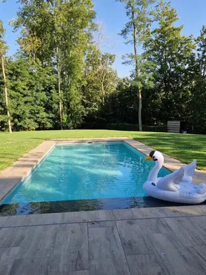 a swimming pool with a swan in the water at Volledige gezinswoning te huur in Mechelen
