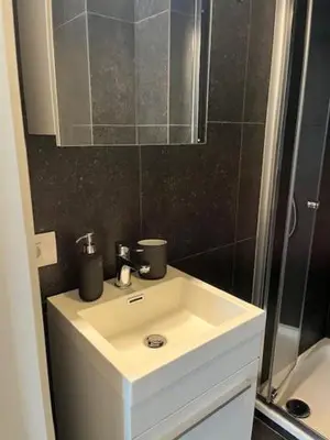a bathroom with a white sink and a shower at Sint-Amandstraat studio B4 in Ghent