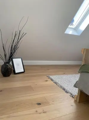 a room with a picture on the floor and a plant at The Conservatory, a cosy holiday home located central between Gent Antwerpen & Brussel in Lokeren