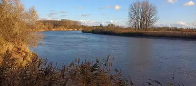 a view of a river with trees and water at Vakantiewoning Nieuwdonk in Berlare
