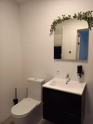 a bathroom with a toilet and a sink and a mirror at Starling in Oud-Turnhout