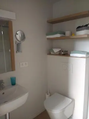a bathroom with a white toilet and a sink at Vakantiewoning De Woestijn - De Schuur in Roosdaal