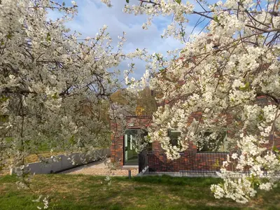 a brick building with a door and trees with white flowers at Trionfo in Gaasbeek