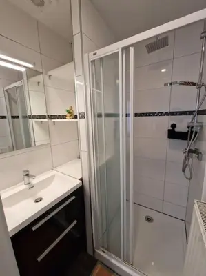 a bathroom with a shower and a sink at Le cocon du midi - Appartement Cosy in Brussels