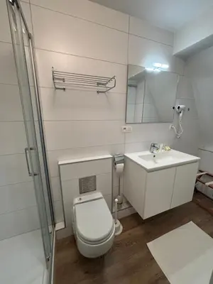 a bathroom with a toilet and a sink and a mirror at Hotel La Chaumiere in Asse