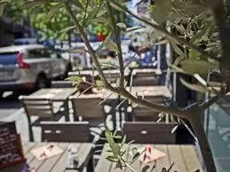 a row of tables and chairs with a tree at Archimede Guest House in Brussels