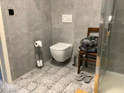 a bathroom with a toilet and a shower at B&B Schaliëndak in Kortenberg