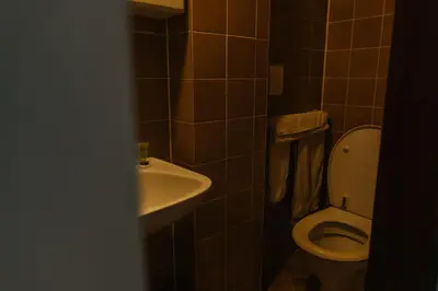 a bathroom with a white toilet and a sink at Hotel Kempenrust in Kasterlee