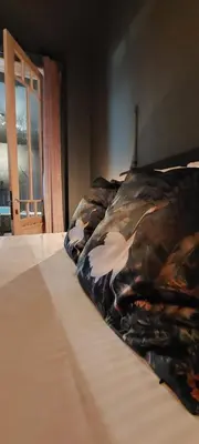 a bed with a comforter on it in a room at Diamond - room with a view in Antwerp