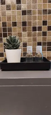 a black tray with a plant and two glass bottles at Diamond - room with a view in Antwerp
