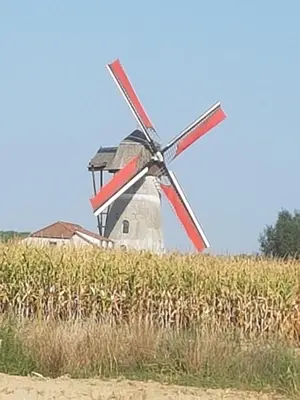 a windmill in a field of corn at B&B Krieken de Jour in Ninove
