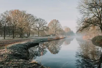 a misty river with trees on the side of it at Vakantiehuis De Bekaf in Stekene
