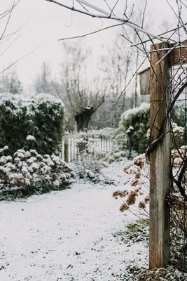 a snow covered yard with a fence and a pole at Vakantiehuis De Bekaf in Stekene