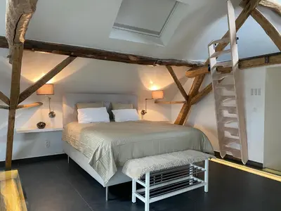 a bedroom with a loft bed and a ladder at Molenbaan28 in Merchtem