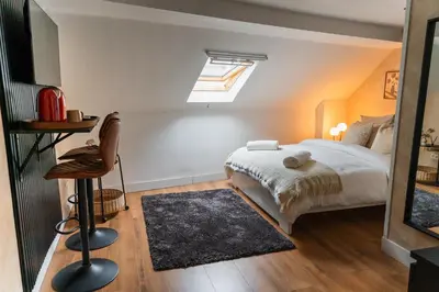 a bedroom with a bed and a skylight at Spacious Shared 5BR Apt in the Heart of Gent in Ghent