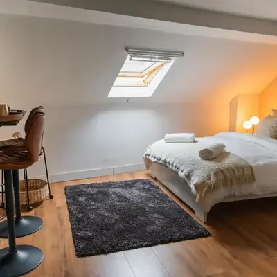 Spacious Shared 5BR Apt in the Heart of Gent