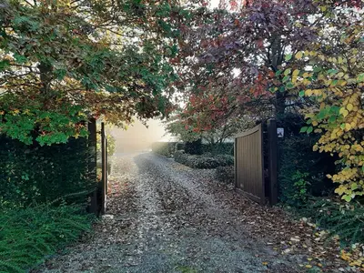 a dirt road with trees and a fence on the side at B&B De Levensboom in Tessenderlo